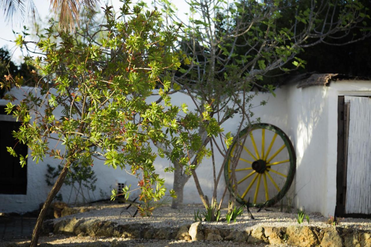 Horizonte Bed and breakfast Carvoeiro (Lagoa)